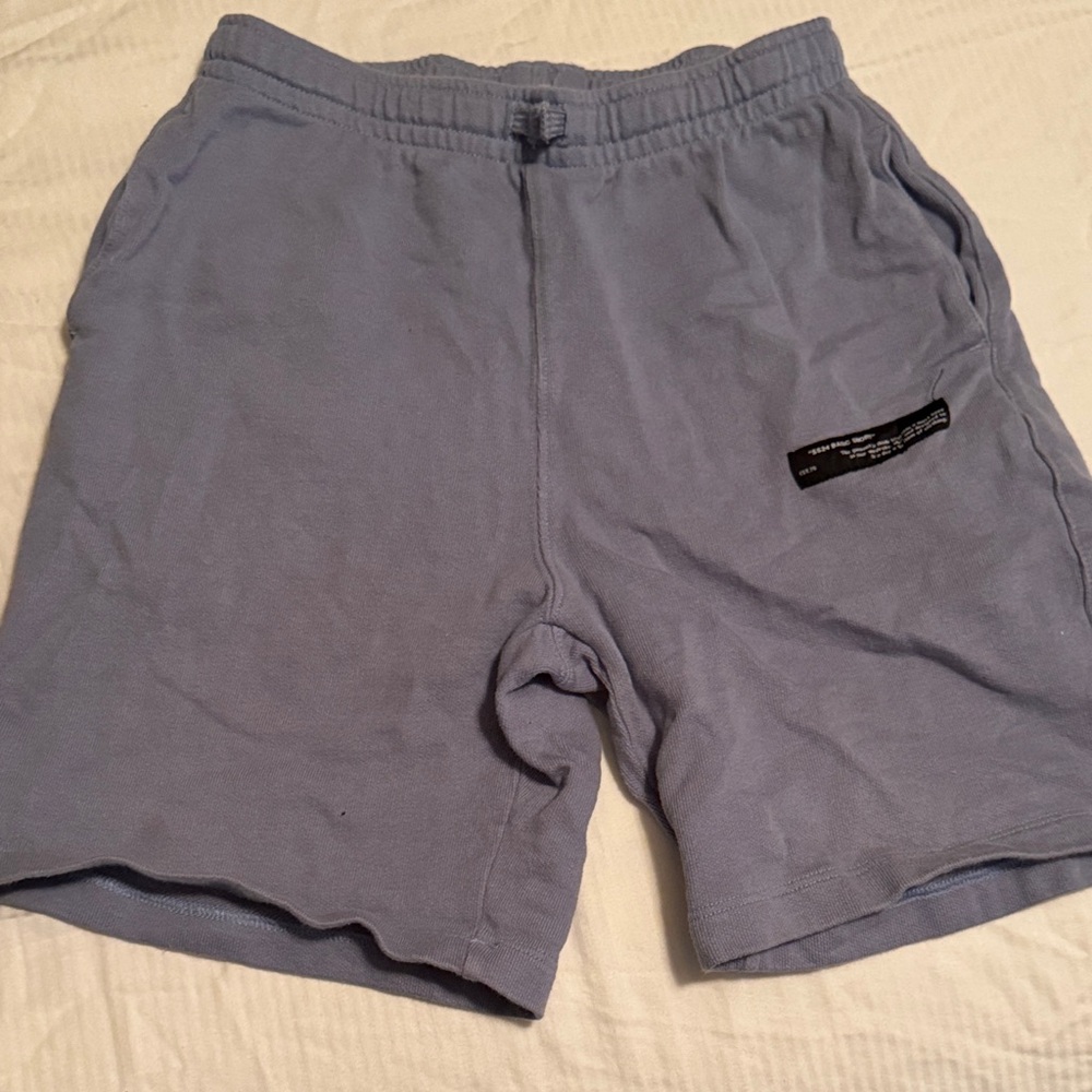 Zara Kids Light Blue Shorts
